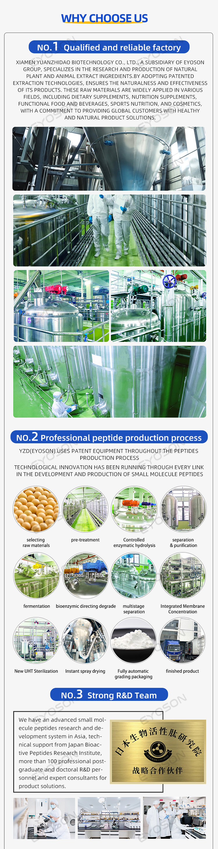 Albumin Peptide manufacturing detail