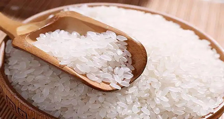 Skin Whitening Hydrolyzed Rice Protein High Quality Rice Protein Powder