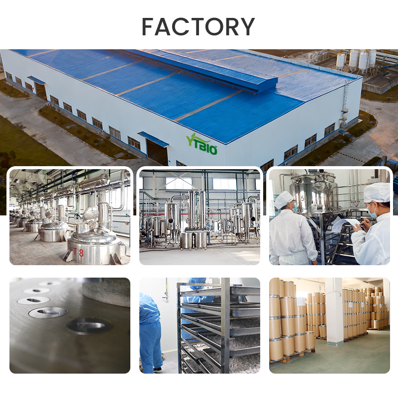 YTBIO Bovine Collagen Peptide Powder Solid Drink Hydrolyzed Protein for Skin Nail and Hair Support Stick Private Label OEM