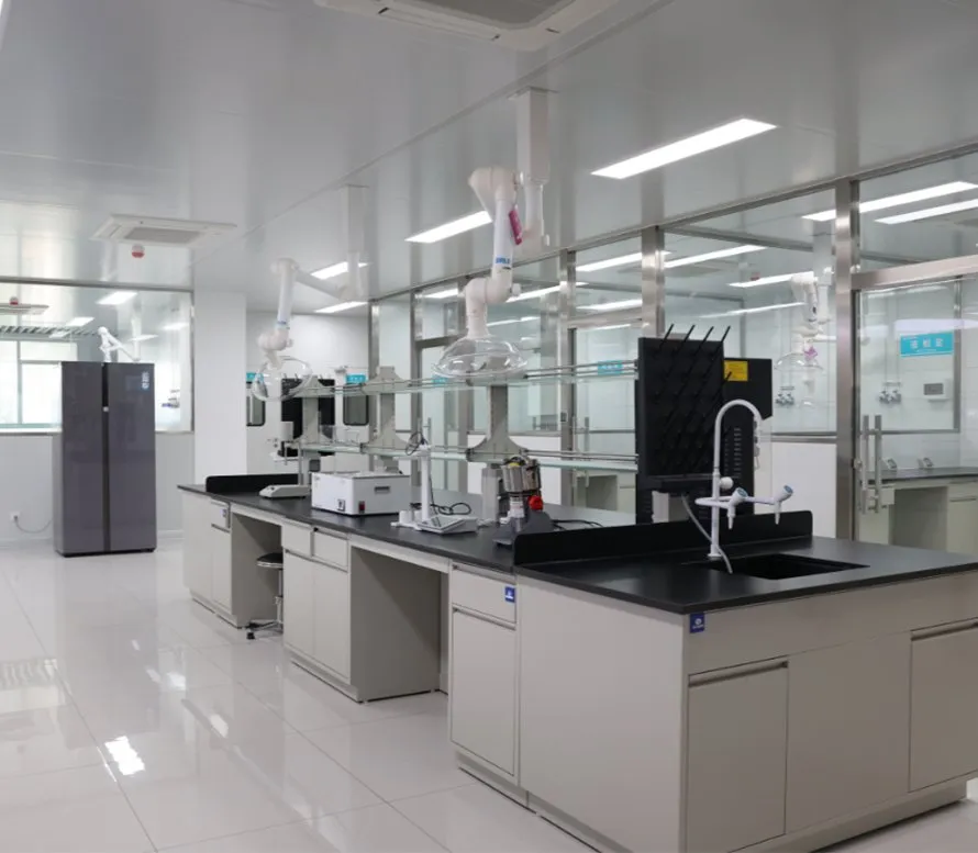 Non GMO Isolated Soy Protein Factory Display 4