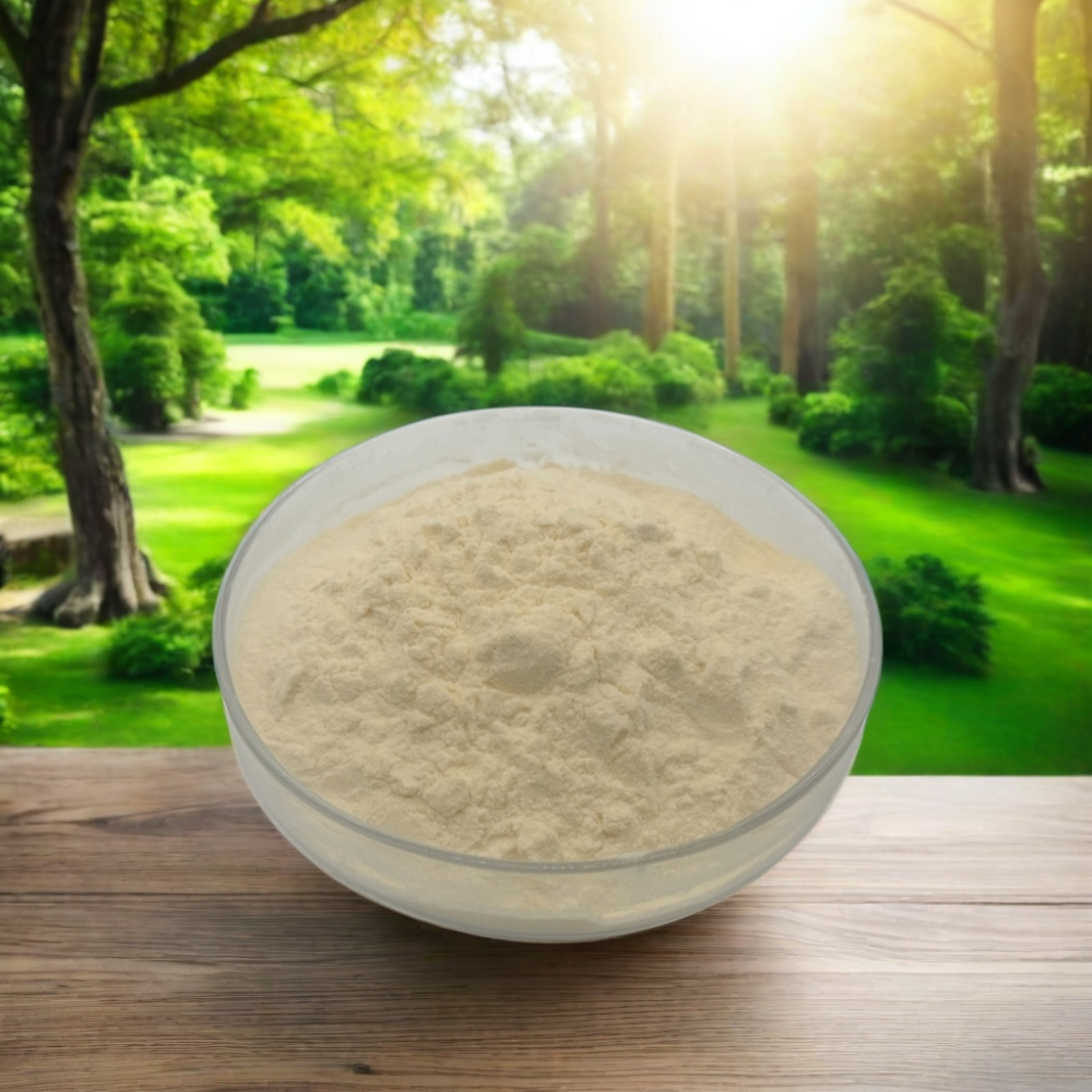 Isolated Soy Protein Certificate Info