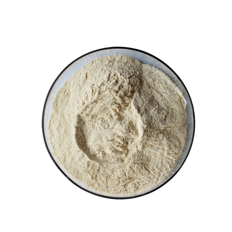 Best Quality Food Grade Rice Protein Powder
