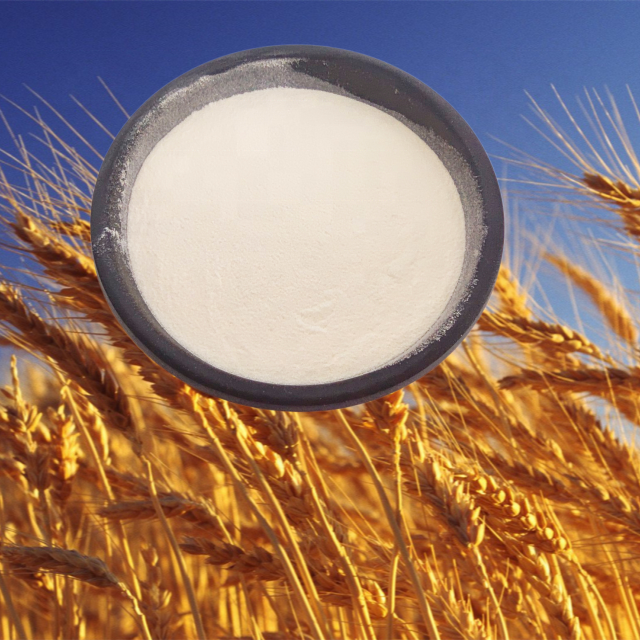 Bulk Hydrolyzed Tasteless Wheat Protein Collagen Peptide Powder Small Molecular Weight Vegan Oligopeptide for Nutrition Drink