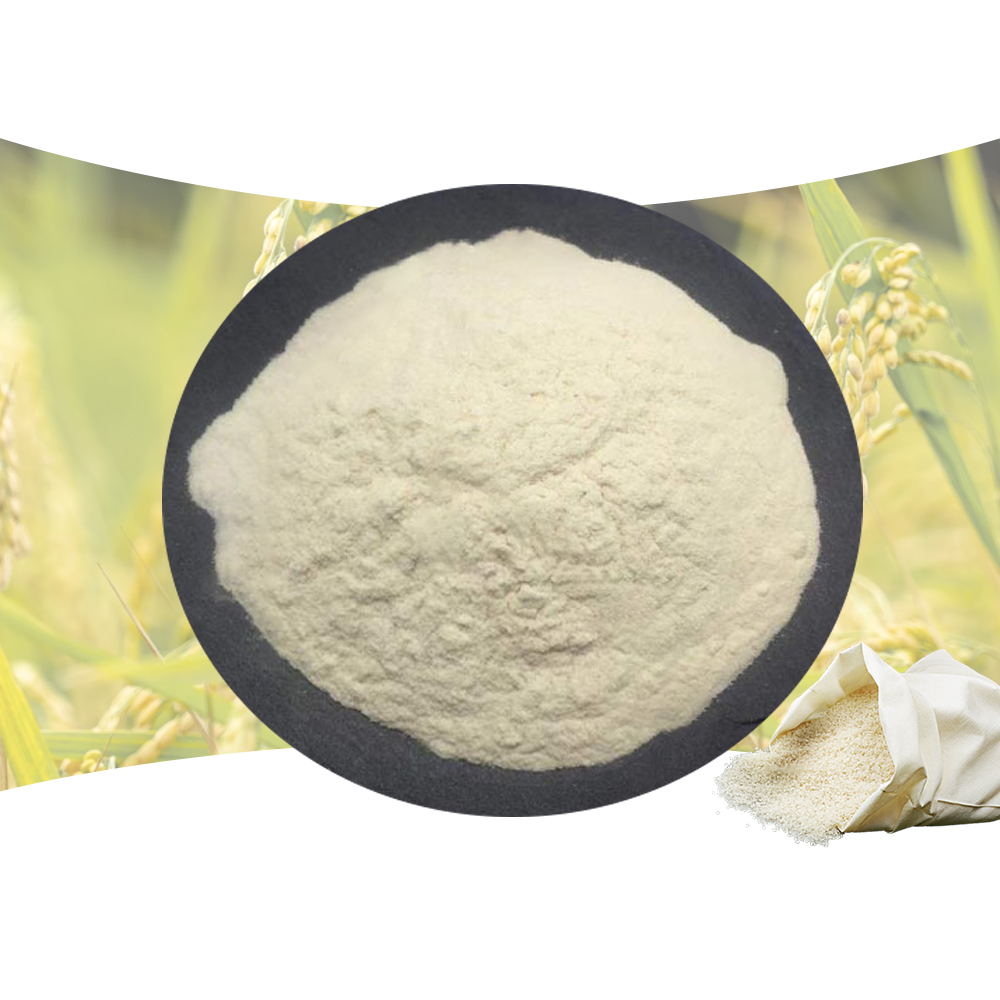 Rice Protein Powder