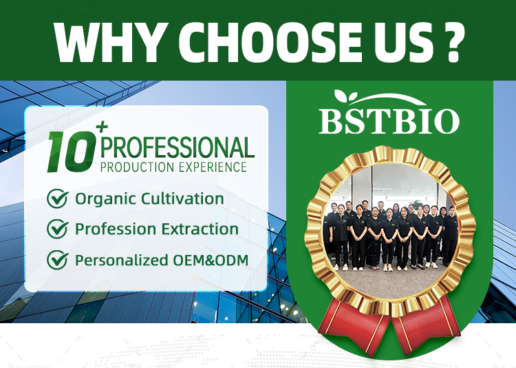 Why Choose Us Feature 1