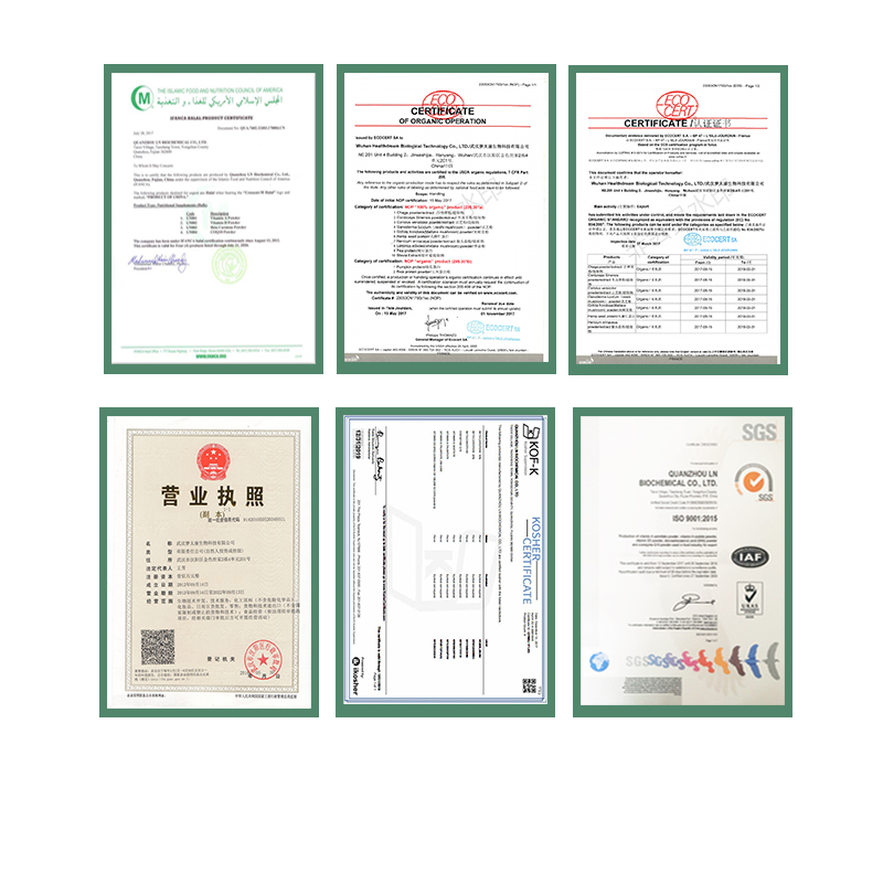 Halal Hydrolyzed Bovine Collagen Powder Food Grade Collagen Peptide for Nutritious Supplementary