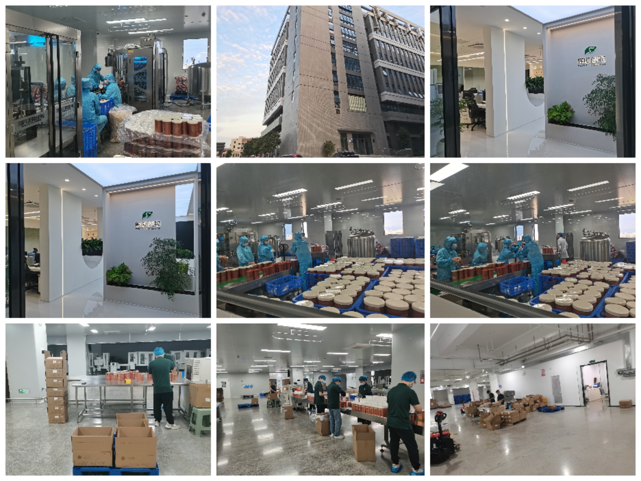 Production Process