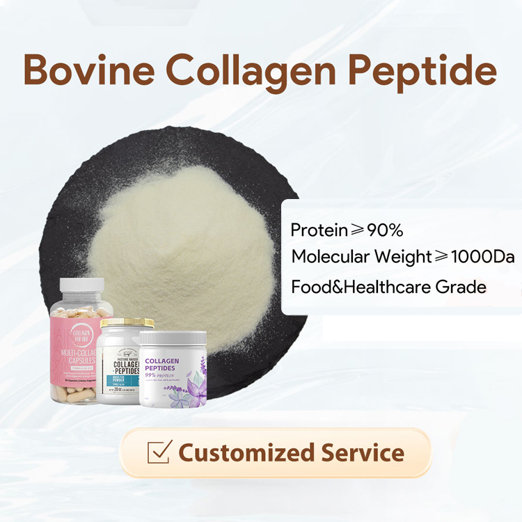 Pincredit Wholesale ISO22000 and HACCP Certified 1000 Dalton Hydrolyzed Bovine Collagen Peptide Powder