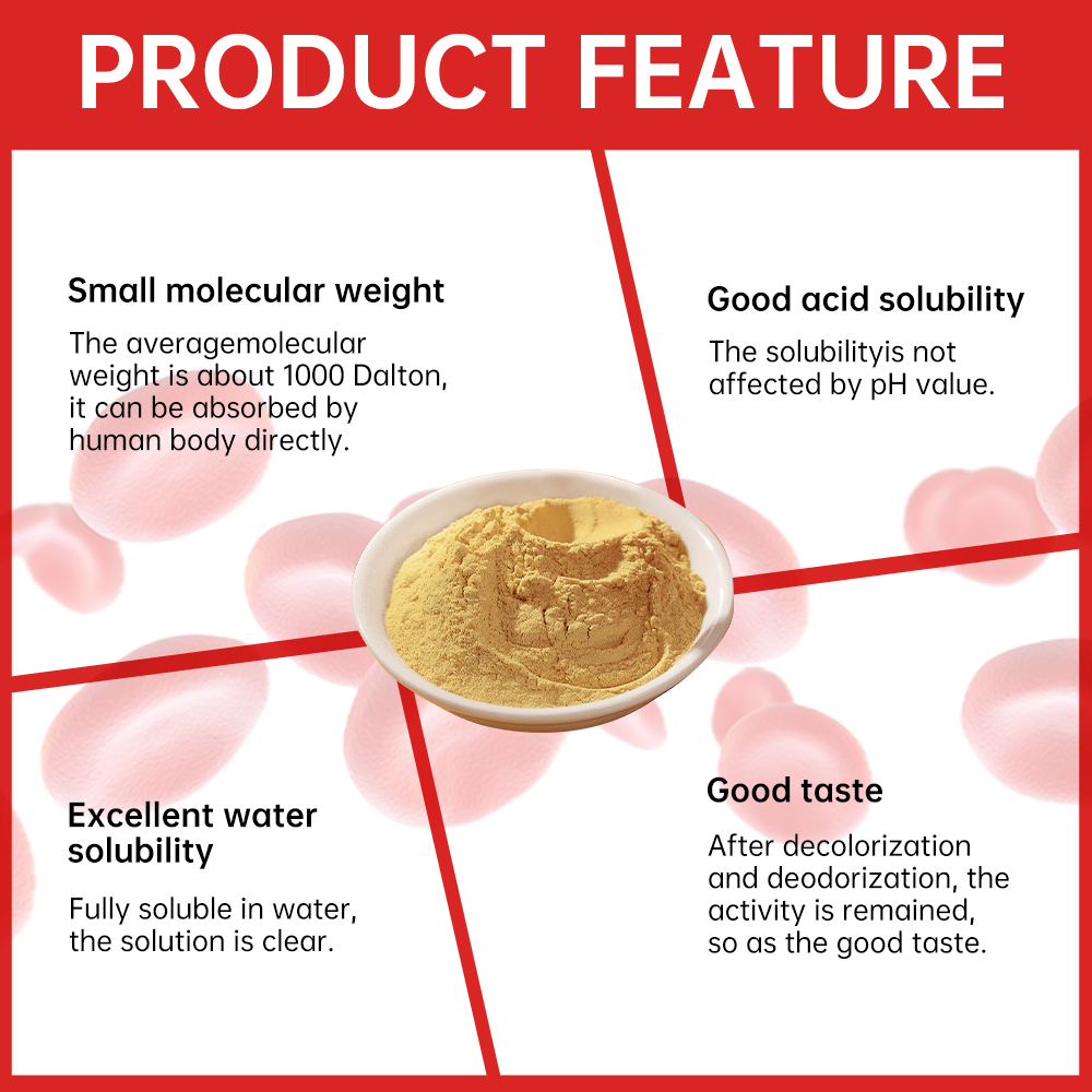 High-Quality Protein Peptides, Pure Bioactive Peptide Powder for Immunity Boost &amp; Gut Health