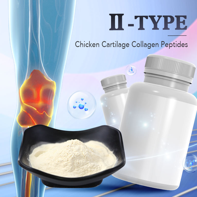 Amulyn Supply Bioactive High-Protein Vegan Chicken Sternum Cartilage Extract Hydrolyzed Type II Collagen Peptide Powder
