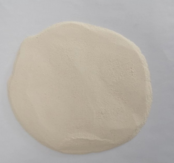 Rice protein powder characteristics