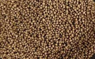 Animal Feed Applications