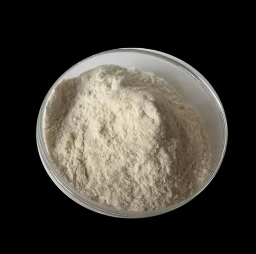 Protein Powder Body Building Hydrolyzed Whey Protein