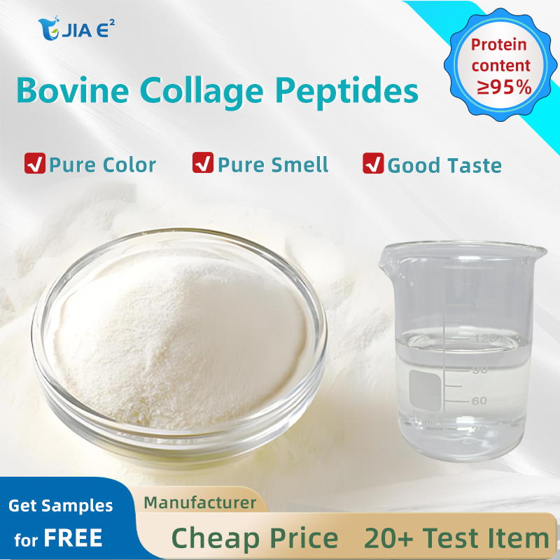 Hydrolyzed Bovine Collagen Peptide Powder Pure Natural Flavor Protein Powder Nutrition Enhancers Providing Energy No Additives