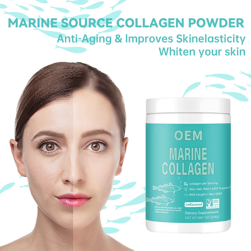 Marine Collagen Feature 5