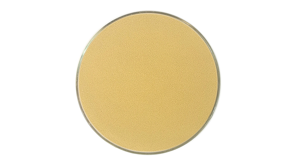Autolyzed Yeast Powder Details