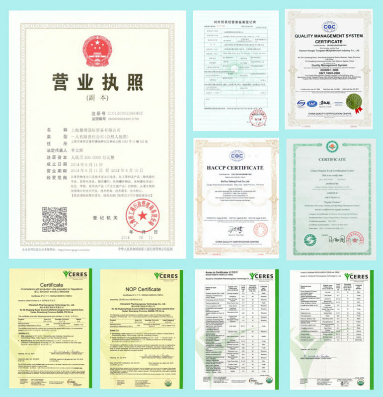 Rice Protein Powder 80% / Hydrolyzed Rice Protein Customized Package