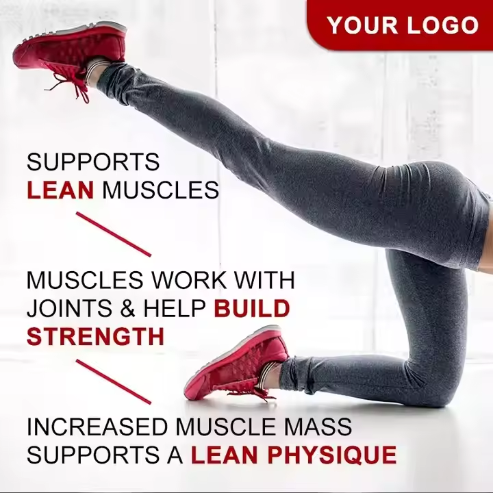 OEM Production Custom Logo 5lbs Whey Protein Powder High Immunity Nutritional Supplement for Adults Muscle Building Content