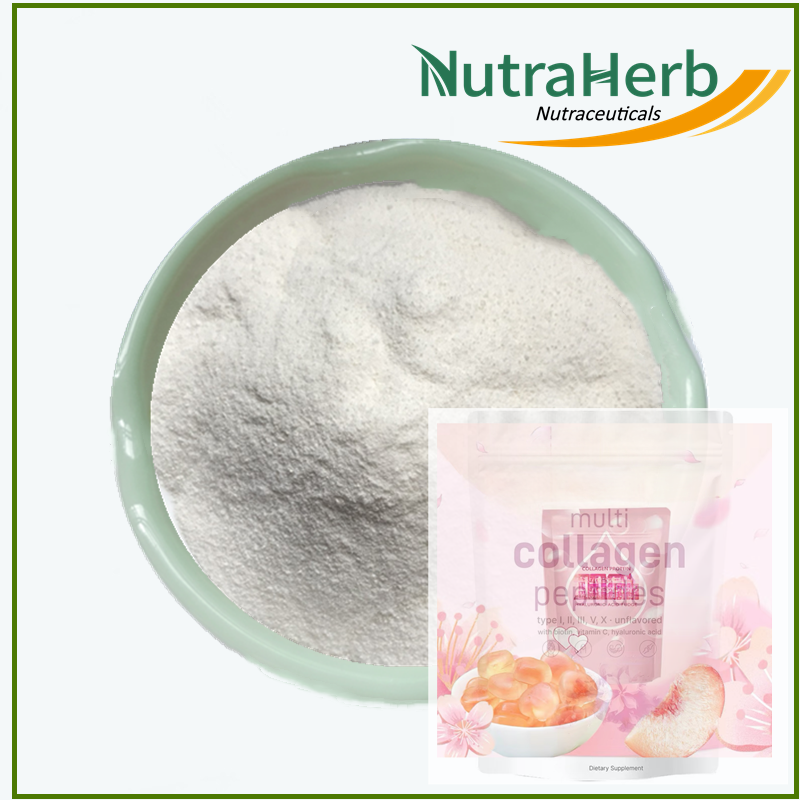 OEM Fish Peptides Powder Hydrolyzed Peptides Powder for Hair Skin Nail Vegan Fish Protein Powder in Bags for Gummmies