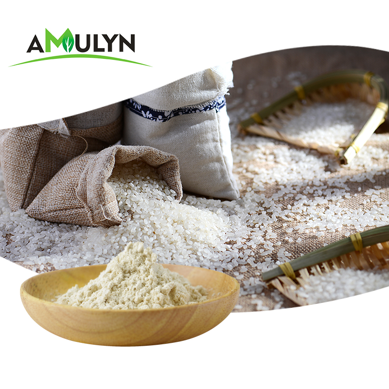 Plant-based Protein Hydrolyzed Rice Protein Powder