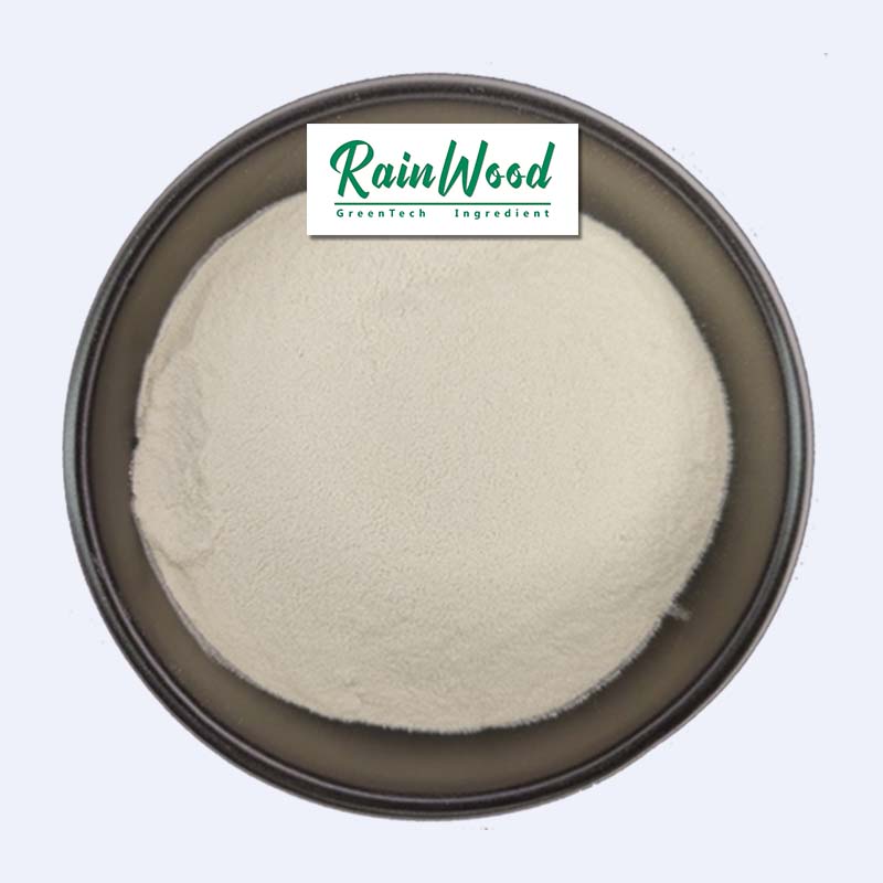 Rainwood Natural Hydrolyzed Wheat Protein Organic Hydrolyzed Protein Isolate Powder