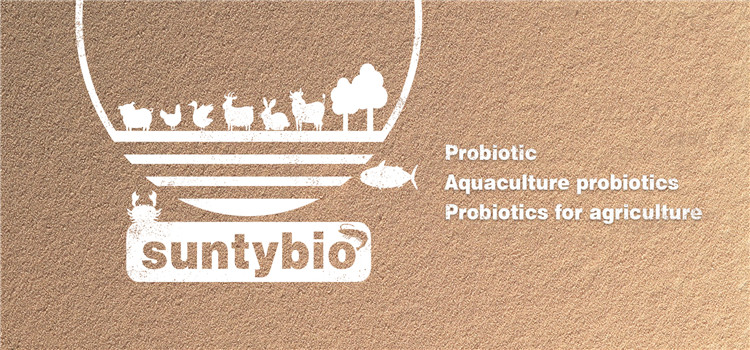 Autolyzed Yeast