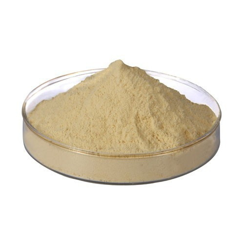 Premium Undenatured Hydrolyzed Milk Protein Powder