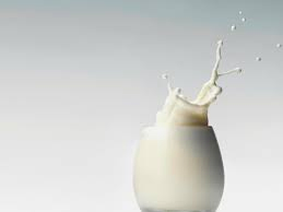 100% Pure Hydrolyzed Whey Milk Protein Powder