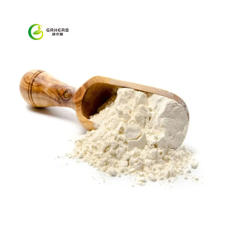 Whey Protein Isolate Powder
