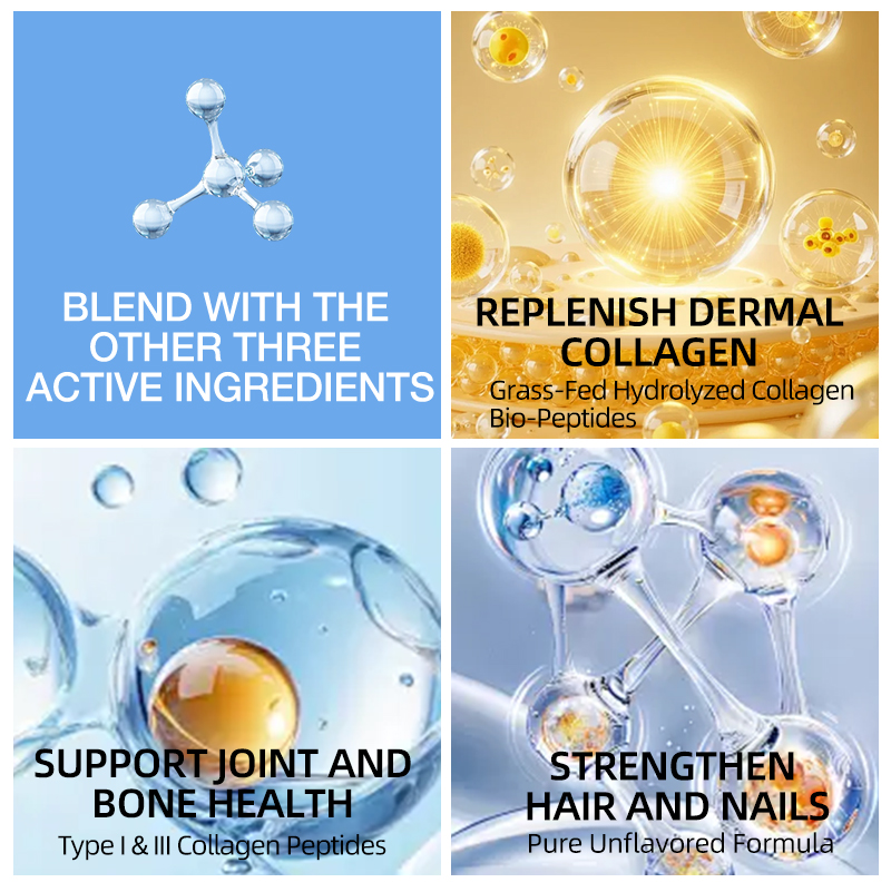 Lively Whale Collagen Bio-Peptides Protein for Skin Joint Health
