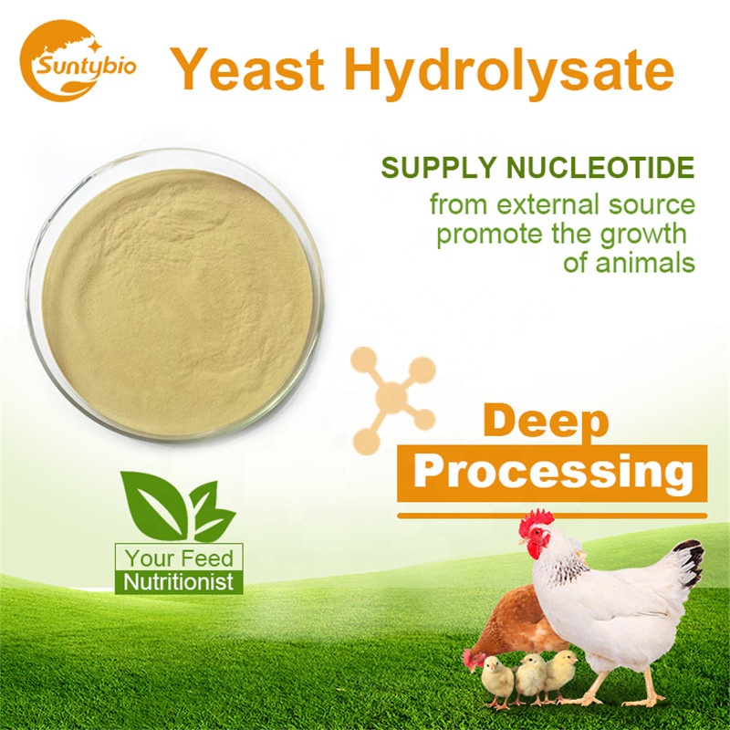 China Manufacturer Offer Hydrolyzed Yeast 50% Protein for Animal
