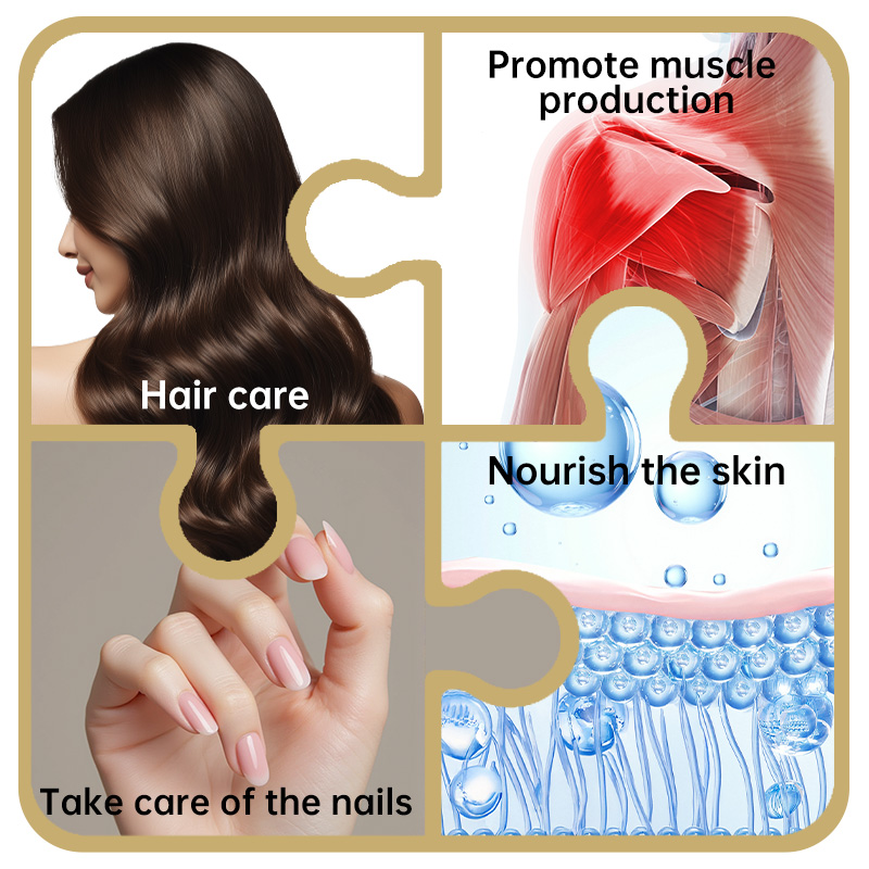 Manufacturer Wholesale Small Molecule Hydrolyzed Protein Peptides Colorless Powder Beneficial for Healthy Nails and Hair
