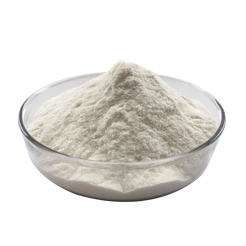 Wholesale Price Rice Protein Food Grade Rice Protein Powder