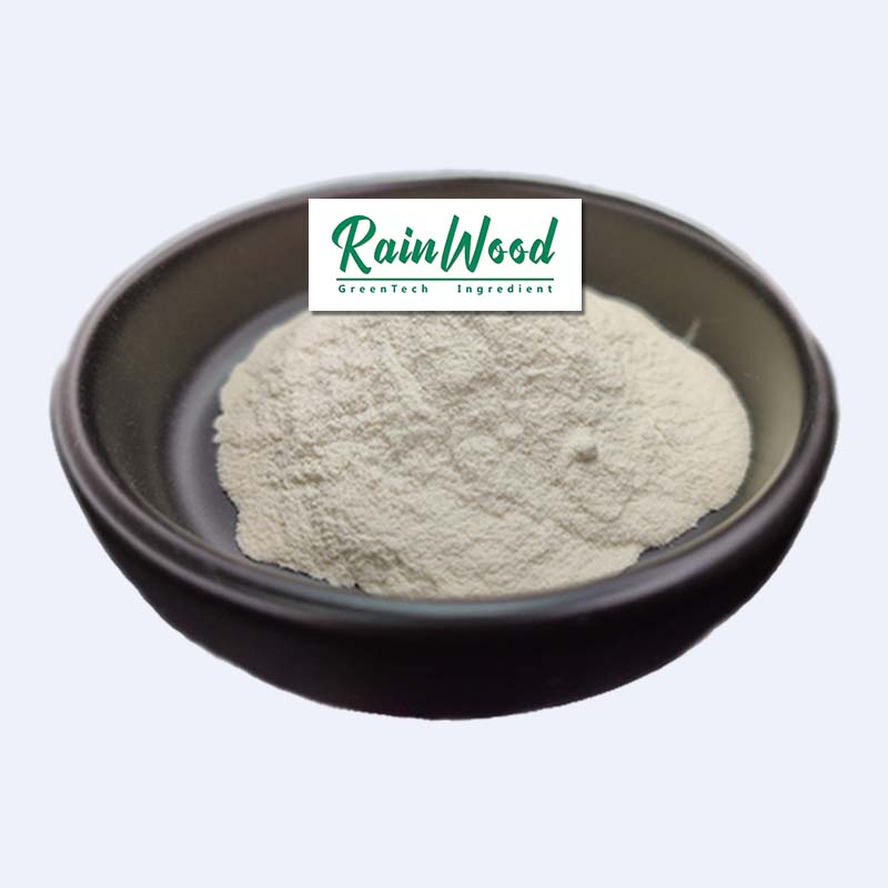 Rainwood Natural Hydrolyzed Wheat Protein Organic Hydrolyzed Protein Isolate Powder