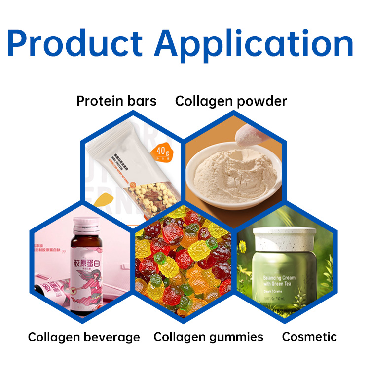 Collagen Supplement Detail 2
