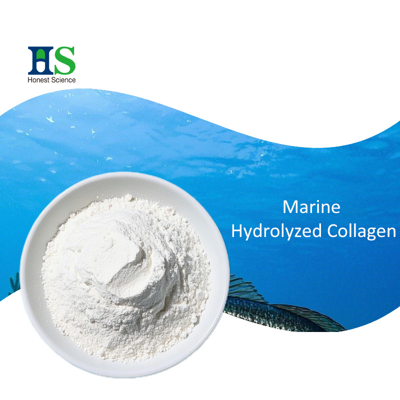Wholesale in Bulk High Purity Marine Fish Hydrolyzed Collagen