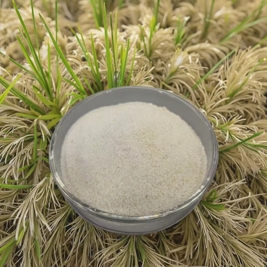 Rice protein powder extraction