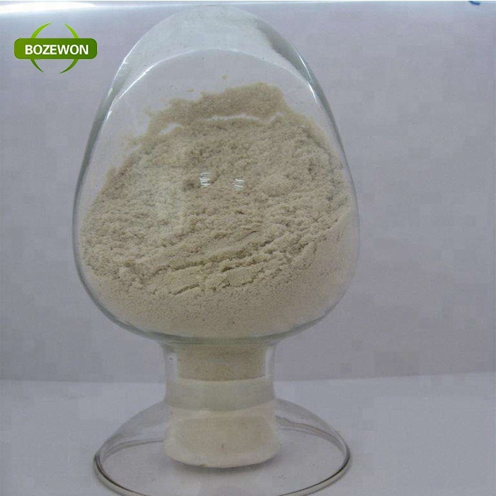 Kosher ISO Hydrolyzed Wheat Protein 80% Nutrition Enhancer Food Grade Additive 15kg/20kg Packing
