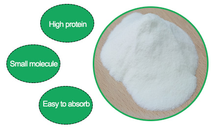 Product Packaging and Substance