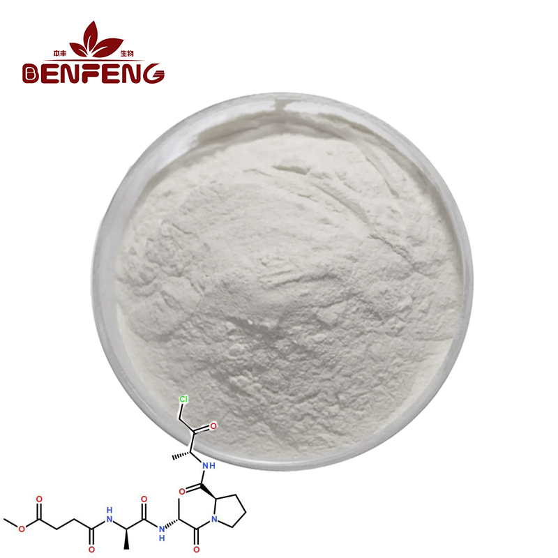 Supply Bulk Bonito Extract Animal Protein Hydrolysate Bonito Elastin Collagen Peptides