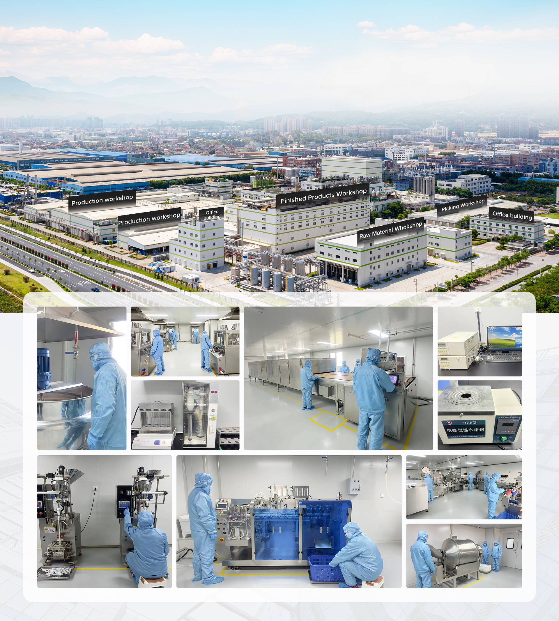 Company Overview 1