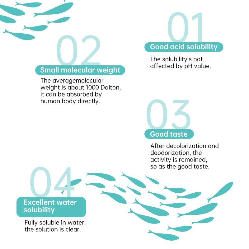 Marine Collagen Feature 3