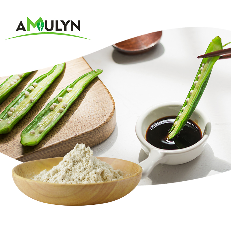 Plant-based Protein Hydrolyzed Rice Protein Powder
