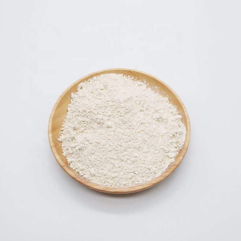 Halal Hydrolyzed Rice Protein Isolate 90% Powder Organic Rice Protein Vegan Blend Flavored Protein Powder