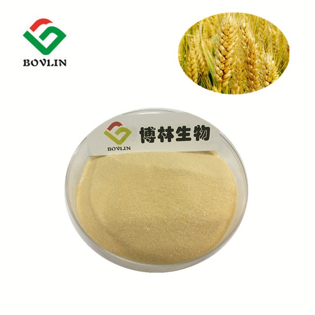 75% Wheat Peptide Oligopeptides Hydrolysed Hydrolyzed Wheat Protein Powder