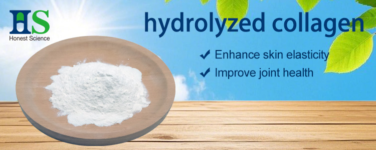 Hydrolyzed Collagen