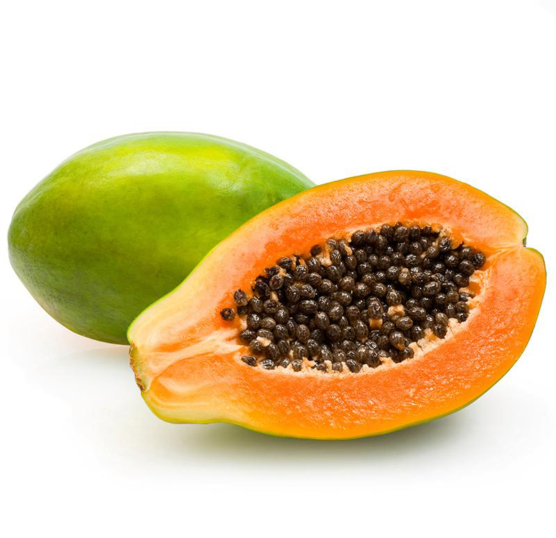 Papaya peptide powder processing stage