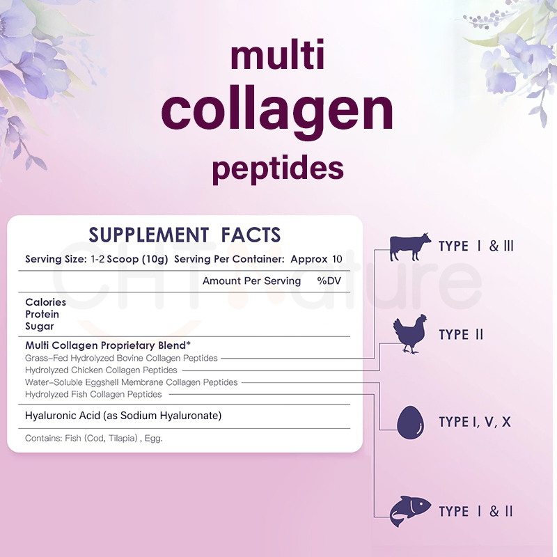 Collagen Supplement Structure