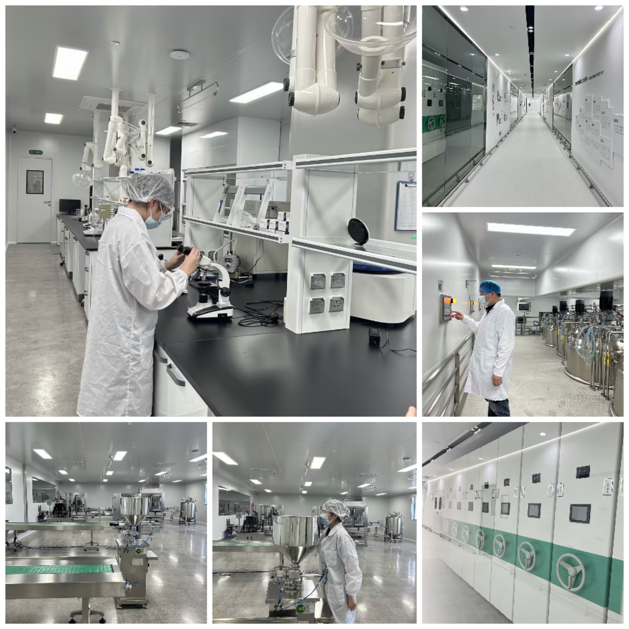 Our Laboratory
