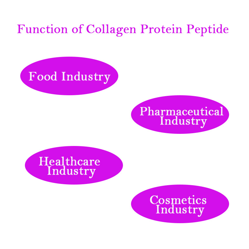Marine Fish Bovine Collagen Peptide Cowhide Vital Proteins Collagen Unflavored Hydrolyzed Collagen Peptide